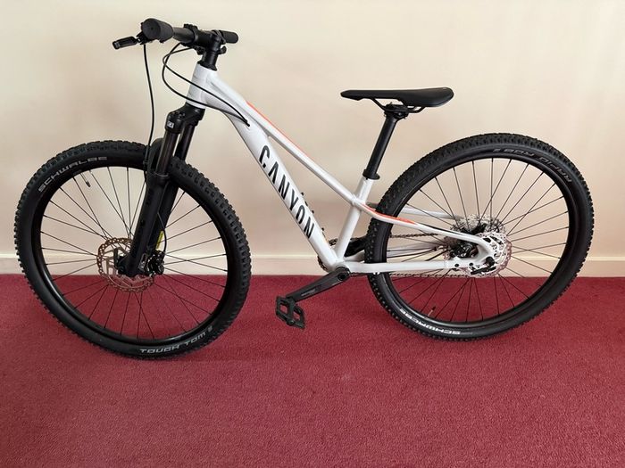 mountain bike