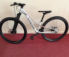 mountain bike
