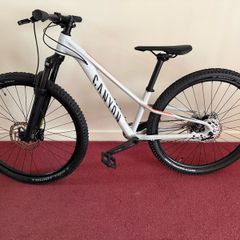 mountain bike