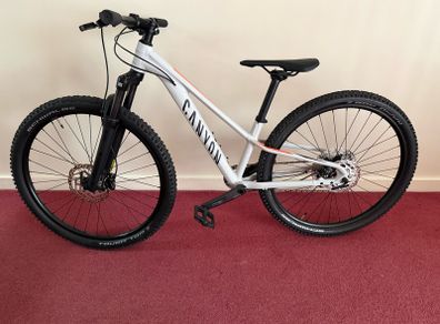mountain bike