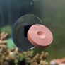 Single Hole Euphyllia Coral Holder (Tilted) Image 2