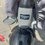 Little Tiger Kids Trike Image 4