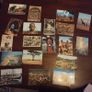 Vintage Postcards  Irish/European/African Image 7