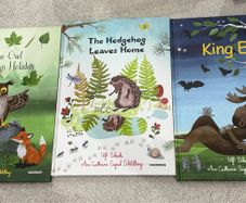 Children Books x 3 perfect condition