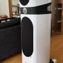 Only Set Available in Ireland Available World class Absolutely Stunning Audiophile Quality Focal Sopra N02 Speakers 18k New Pristine Boxed Image 2