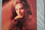 Kenny Loggins - The Unimaginably Life.