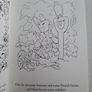 New peter rabbit story and colouring book Image 4