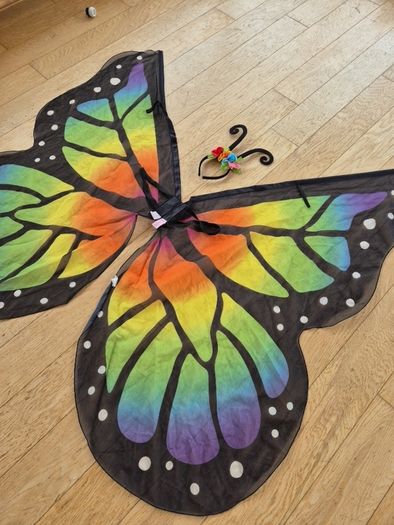 Beautiful Butterfly Costume