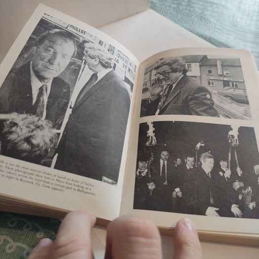 Hiding Behind a Face: Fine Gael Under Fitzgerald