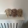 New JELLYCAT Set of 3 Oat/Fawn/ Wheat Flufflet Bunnies Image 2