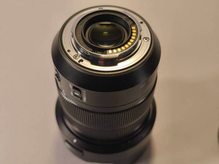 Panasonic Leica DG Vario-Elmarit 12-60mm f/2.8-4.0