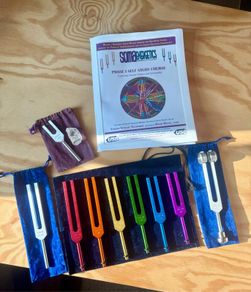 SomaEnergetics Tuning Fork Practitioner Kit + Self-Study Course