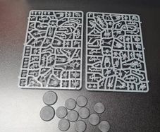 Warhammer 40k Neophyte Hybrids