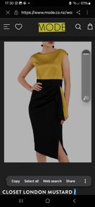 Closet London dress