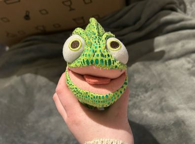 Tangled Pascal teddy