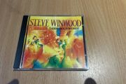 Steve Winwood - Talking Back To The Night