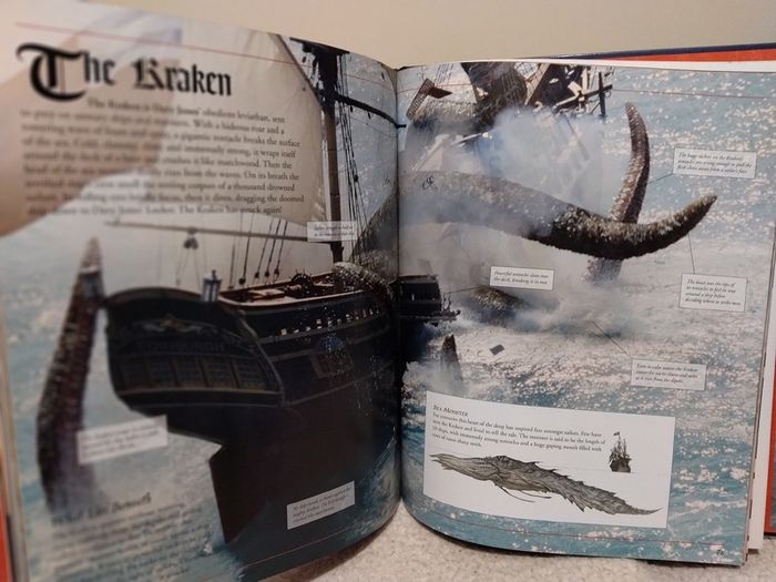 Pirates of the Caribbean, The Complete Visual Guide Hardcover Book & posters set