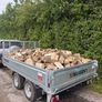 Firewood Image 6