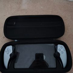 Playstation Portal