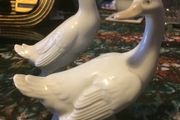 nao ducks free postage