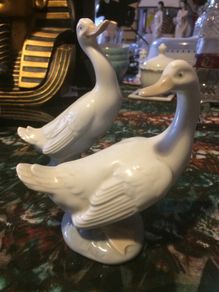 nao ducks free postage