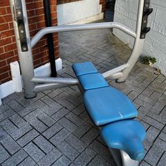 technogym flat weight bench