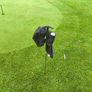 Pitch And Putt Image 2
