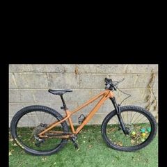 Cannondale bike