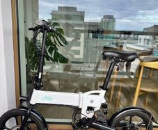 Fiido D2S Folding Electric Bike, Excellent Condition, Ready to Ride