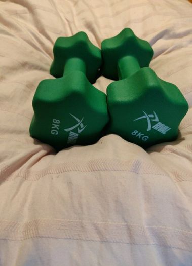 8kg dumbbells pair