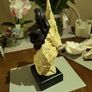 Ocean experience figurine Image 5