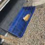pet cage Image 2