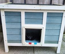Cat House