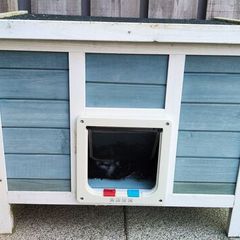 Cat House