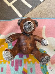 Bear door stop