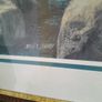 picture of Deer in the rocky mountains Image 2
