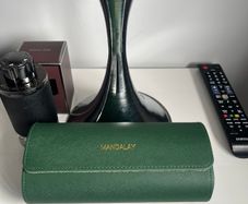 Premium Watch Travel Case