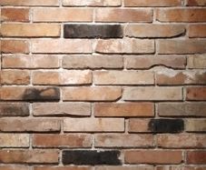 Natural Brick Slips