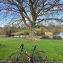 Giant Gravel Bike Image 6