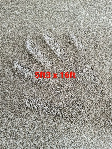 carpet 5ft3 x 16ft
