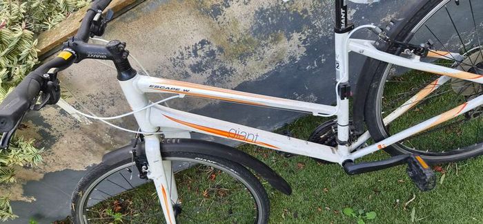 Ladies Giant Escape W 2 Hybrid Bike