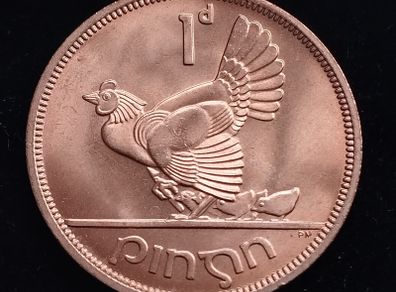 Ireland - 1968 - 1 Penny - Hen with Chicks - UNC - KM.11 - [277]