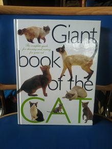 Giant Book of the Cat