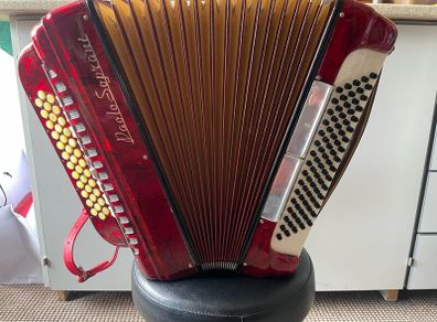 Paolo soprani accordion