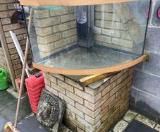 jewel fish tank
