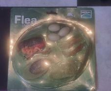Flea life cycle figurine
