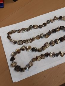Shell necklace abalone