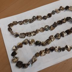 Shell necklace abalone