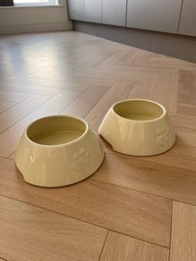 dog bowl