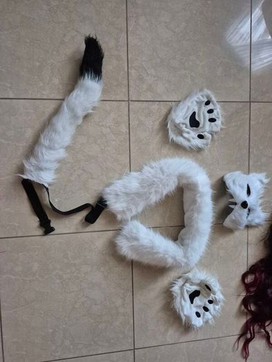 Fox costume and more